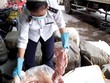 Giáp Tết, kinh doanh thực phẩm bẩn "lên ngôi"